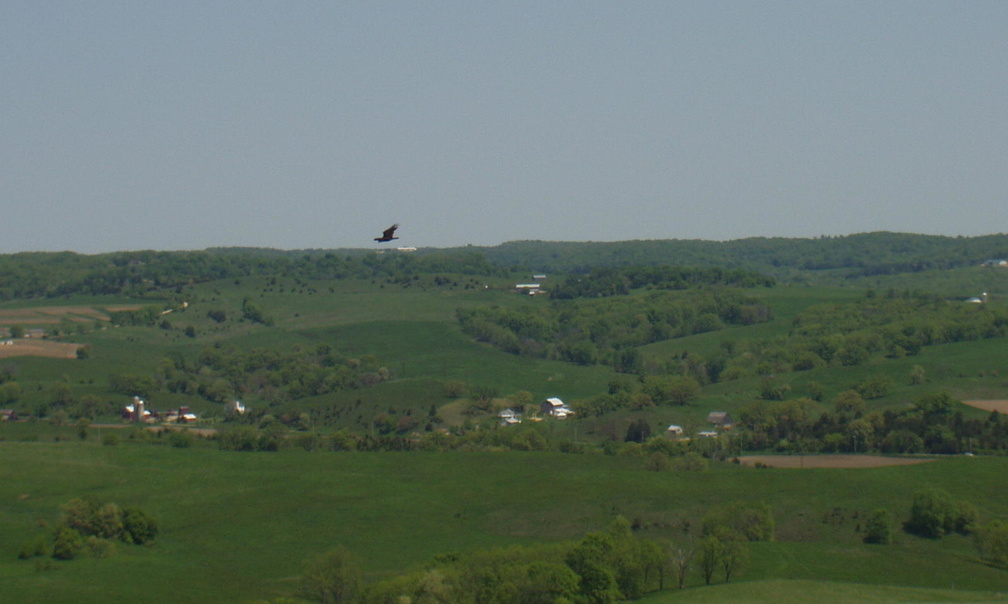 galena 2003-05-25 20e