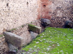 pompei 2004-01-04 023e