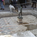 pompei 2004-01-04 079e