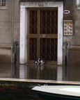 venezia 2003-12-29 10e