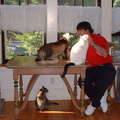 cats 2002-08-09 1e