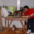 cats 2002-08-09 3e