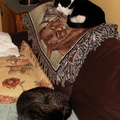 cats 2005-09-16 1e.jpg