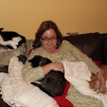 cats 2006-01-24 7e