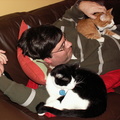 cats 2006-11-12 06e