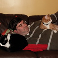 cats 2006-11-12 04e