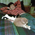 cats 2009-01-03 3e.jpg