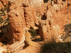 bryce canyon 2005-08-23 030e
