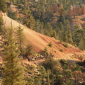 bryce canyon 2005-08-24 085e