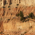 bryce canyon 2005-08-24 104e