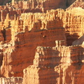 bryce canyon 2005-08-24 118e