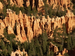 bryce canyon 2005-08-24 192e