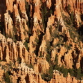 bryce canyon 2005-08-24 196e