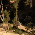 bryce canyon 2005-08-24 198e