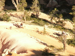 bryce canyon 2005-08-24 204e