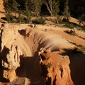 bryce canyon 2005-08-24 205e