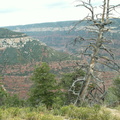 grand canyon 2005-08-24 005e