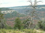 grand canyon 2005-08-24 005e