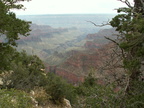 grand canyon 2005-08-24 008e