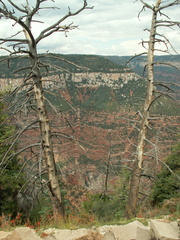 grand canyon 2005-08-24 037e