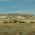 pawnee grassland 2005-08-21 17e