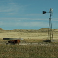 pawnee grassland 2005-08-21 18e