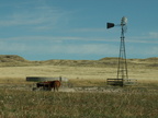 pawnee grassland 2005-08-21 18e