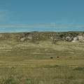 pawnee grassland 2005-08-21 21e