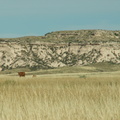 pawnee grassland 2005-08-21 29e