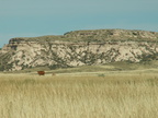 pawnee grassland 2005-08-21 29e