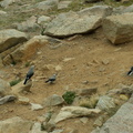 rocky mountain 2005-08-21 175e