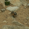 rocky mountain 2005-08-21 179e