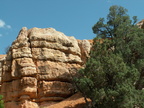 red canyon 2005-08-24 05e
