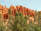 red canyon 2005-08-24 06e