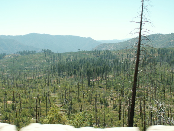 yosemite 2005-08-29 003e