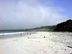 carmel 1999-07-09 1e