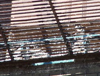 uptown falcons 2004-06-02 02e