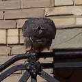 uptown falcons 2004-06-02 10e