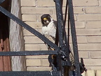 uptown falcons 2004-06-02 13e