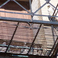 uptown falcons 2004-06-02 17e