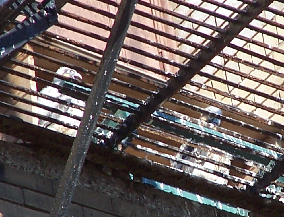 uptown falcons 2004-06-02 18e.jpg