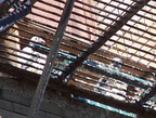 uptown falcons 2004-06-02 18e