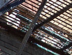 uptown falcons 2004-06-02 21e