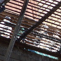 uptown falcons 2004-06-02 22e