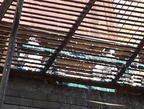 uptown falcons 2004-06-02 34e