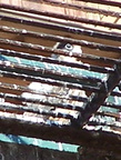 uptown falcons 2004-06-02 36e