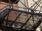 uptown falcons 2004-06-02 42e