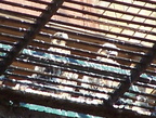 uptown falcons 2004-06-02 45e