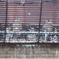 uptown falcons 2004-06-09 10e