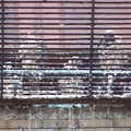 uptown falcons 2004-06-09 12e
